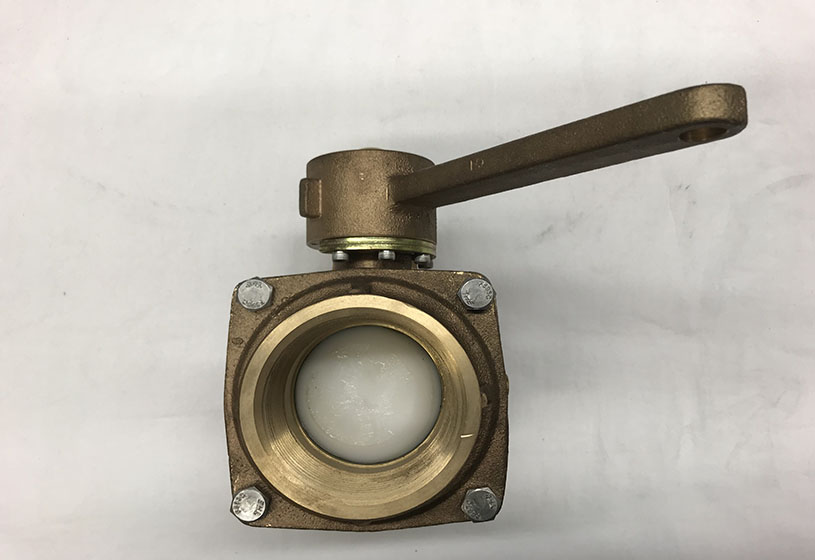 Fnpt Inlet 2.5'' VALVE W/2.5'' FNPT INLET/OUT | Fire eStore